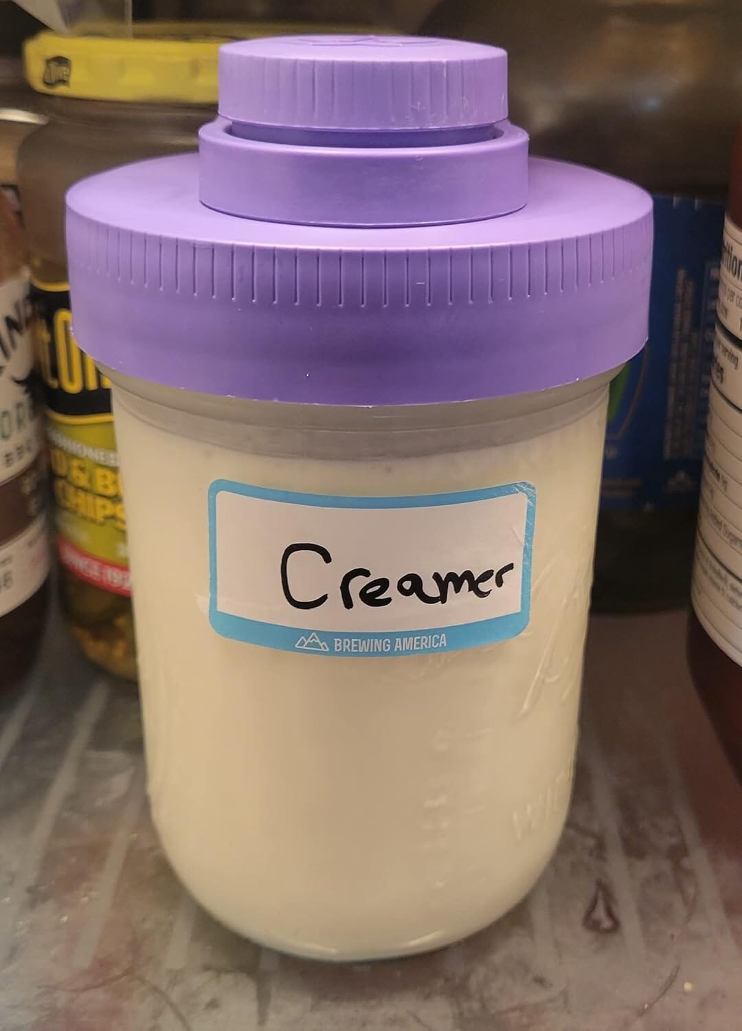 Glass Creamer Jar with Pouring Lid, 1 Pint (16 oz) Wide Mouth Azure Standard Mason Jar with Violet Purple Pour Lid, for Milk, Sugar, and Cream, 1-Pack Serving Pitchers & Carafes Brewing America
