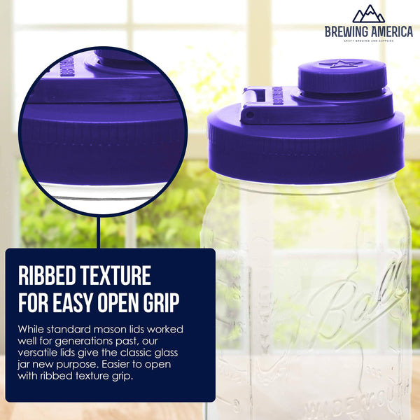 Glass Mason Jar Pitcher with Pour Lids - Ball Jars, 1 Quart (32 oz) Wide Mouth, Violet Purple 2-Pack Serving Pitchers & Carafes Brewing America
